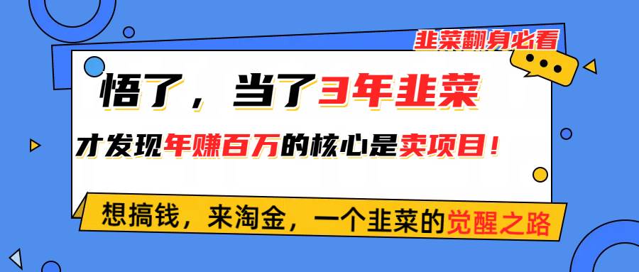 悟了，当了3年韭菜，才发现网赚圈年赚100万的核心是卖项目，含泪分享！搞钱吧-网创项目资源站-副业项目-创业项目-搞钱项目搞钱吧