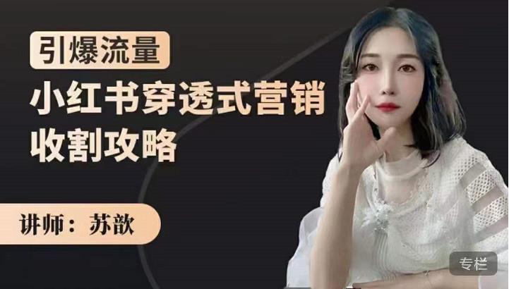 小红书穿透式营销收割攻略，引爆流量，助你玩转小红书搞钱吧-网创项目资源站-副业项目-创业项目-搞钱项目搞钱吧