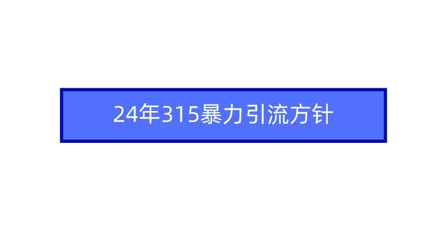 2024年315暴力引流方针搞钱吧-网创项目资源站-副业项目-创业项目-搞钱项目搞钱吧