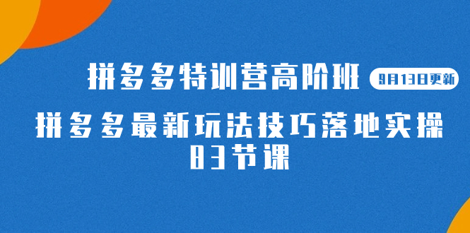 2023拼多多·特训营高阶班【9月13日更新】拼多多最新玩法技巧落地实操-83节搞钱吧-网创项目资源站-副业项目-创业项目-搞钱项目搞钱吧
