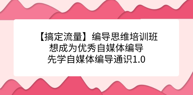 【搞定流量】编导思维培训班，想成为优秀自媒体编导先学自媒体编导通识1.0搞钱吧-网创项目资源站-副业项目-创业项目-搞钱项目搞钱吧