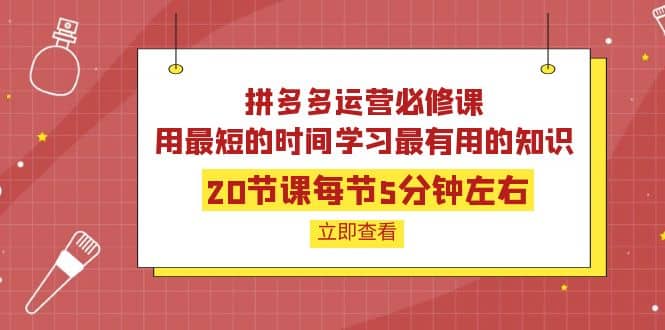 拼多多运营必修课:20节课每节5分钟左右,用最短的时间学习最有用的知识搞钱吧-网创项目资源站-副业项目-创业项目-搞钱项目搞钱吧