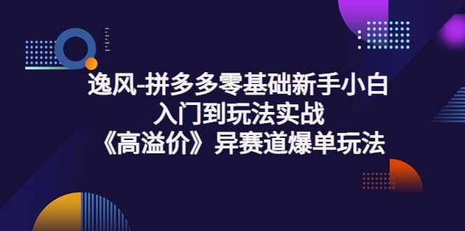拼多多零基础新手小白入门到玩法实战《高溢价》异赛道爆单玩法实操课搞钱吧-网创项目资源站-副业项目-创业项目-搞钱项目搞钱吧