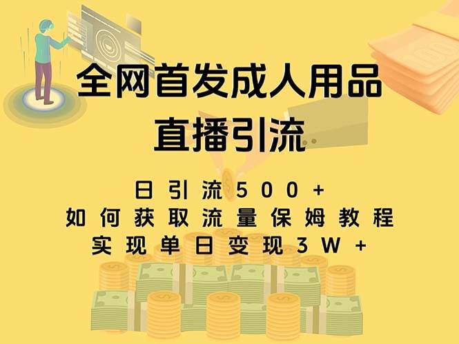最新全网独创首发，成人用品直播引流获客暴力玩法，单日变现3w保姆级教程搞钱吧-网创项目资源站-副业项目-创业项目-搞钱项目搞钱吧