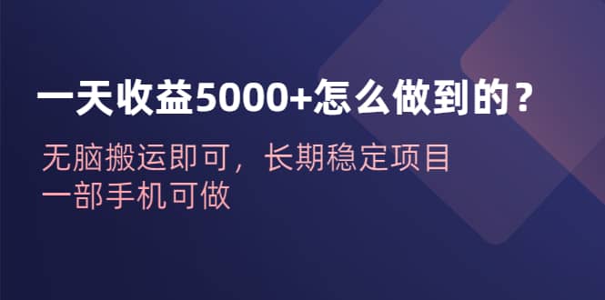 一天收益5000+怎么做到的？无脑搬运即可，长期稳定项目，一部手机可做搞钱吧-网创项目资源站-副业项目-创业项目-搞钱项目搞钱吧