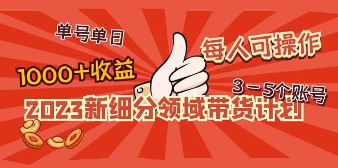 2023新细分领域带货计划：单号单日1000+收益不难，每人可操作3-5个账号搞钱吧-网创项目资源站-副业项目-创业项目-搞钱项目搞钱吧