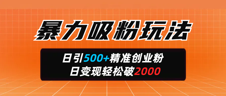 暴力吸粉玩法,日引500+精准创业粉,日变现轻松破2000搞钱吧-网创项目资源站-副业项目-创业项目-搞钱项目搞钱吧