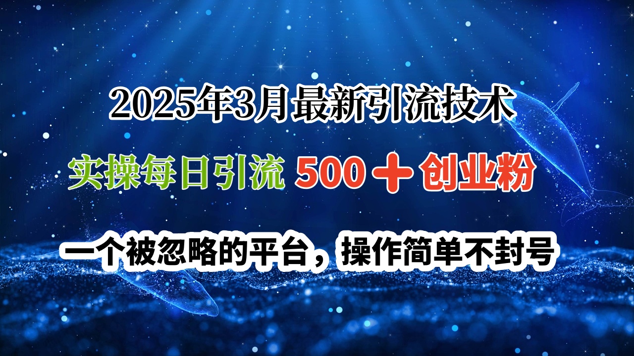 2025年3月最新引流技术，实操每日引流500➕创业粉，一个被忽略的平台，操作简单不封号搞钱吧-网创项目资源站-副业项目-创业项目-搞钱项目搞钱吧
