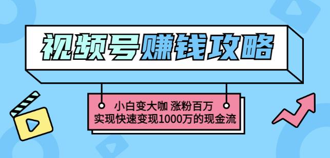 玩转微信视频号赚钱:小白变大咖涨粉百万实现快速变现1000万的现金流搞钱吧-网创项目资源站-副业项目-创业项目-搞钱项目搞钱吧