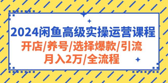 2024闲鱼高级实操运营课程：开店/养号/选择爆款/引流/月入2万/全流程搞钱吧-网创项目资源站-副业项目-创业项目-搞钱项目搞钱吧