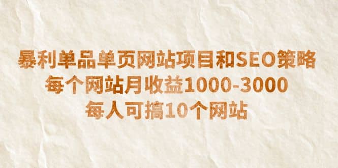 暴利单品单页网站项目和SEO策略 每个网站月收益1000-3000 每人可搞10个搞钱吧-网创项目资源站-副业项目-创业项目-搞钱项目搞钱吧