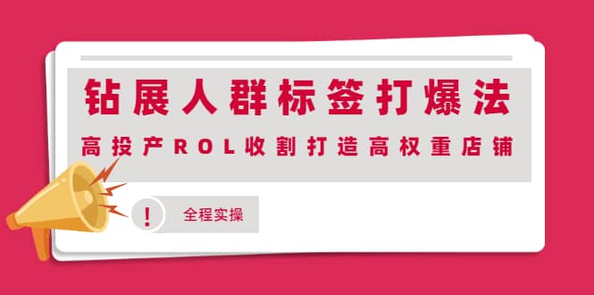 钻展人群标签打爆法，高投产ROL收割打造高权重店铺(全程实操)搞钱吧-网创项目资源站-副业项目-创业项目-搞钱项目搞钱吧