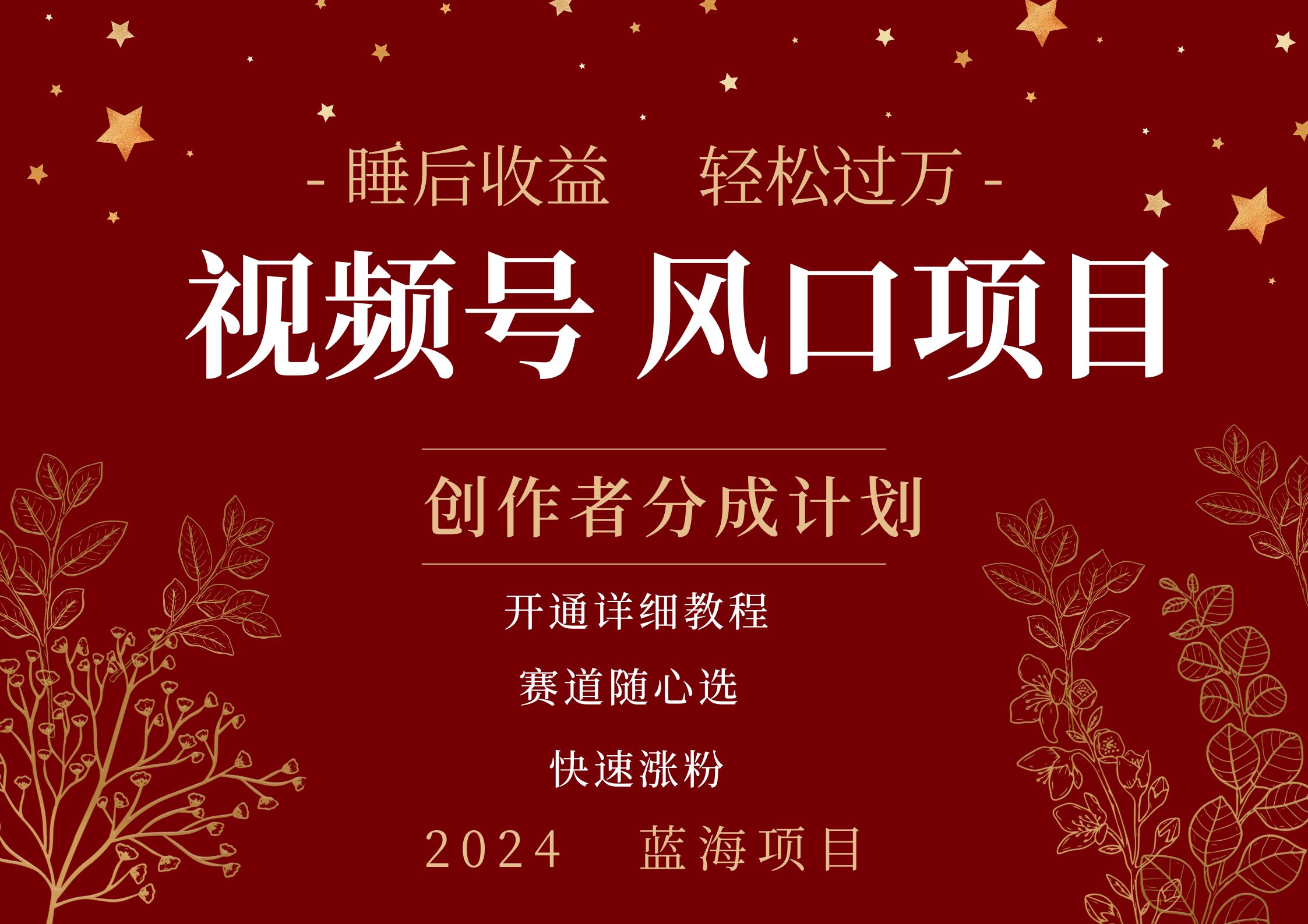 拥有睡眠收益的微信视频号大风口项目，轻松月入过万+，多赛道选择，可矩阵，玩法简单轻松上手搞钱吧-网创项目资源站-副业项目-创业项目-搞钱项目搞钱吧