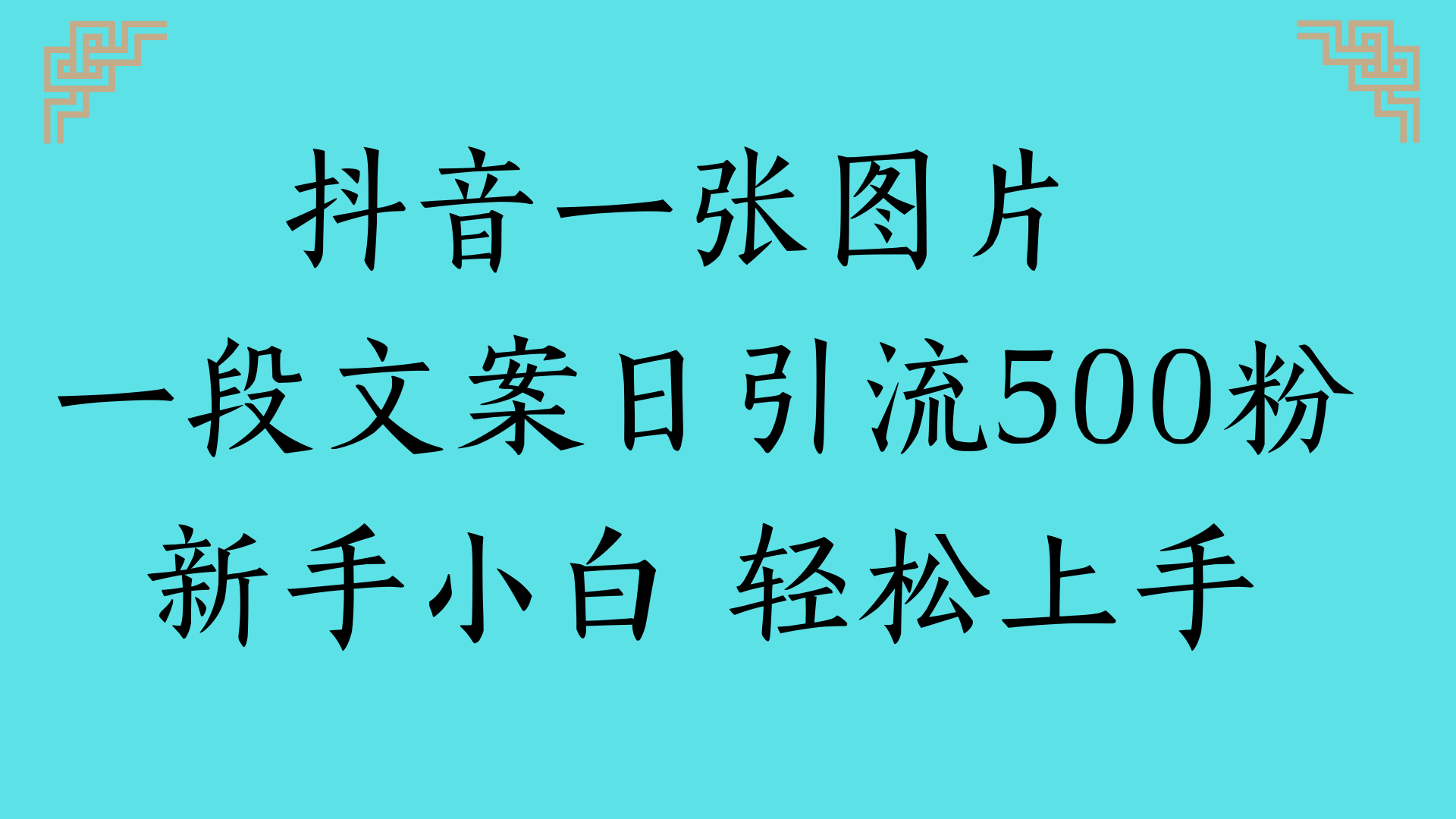 抖音一张图片 一段文案日引流500粉新手小白 轻松上手搞钱吧-网创项目资源站-副业项目-创业项目-搞钱项目搞钱吧