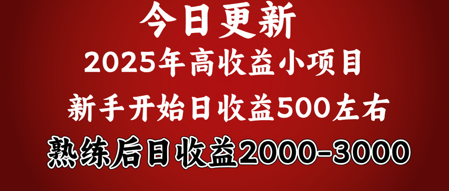 2025开年好项目,新手日收益500+ 熟练掌握后,日收益平均2000多搞钱吧-网创项目资源站-副业项目-创业项目-搞钱项目搞钱吧