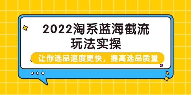 2022淘系蓝海截流玩法实操:让你选品速度更快,提高选品质量(价值599)搞钱吧-网创项目资源站-副业项目-创业项目-搞钱项目搞钱吧