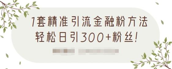 1套精准引流金融粉方法,轻松日引300+粉丝【视频课程】搞钱吧-网创项目资源站-副业项目-创业项目-搞钱项目搞钱吧