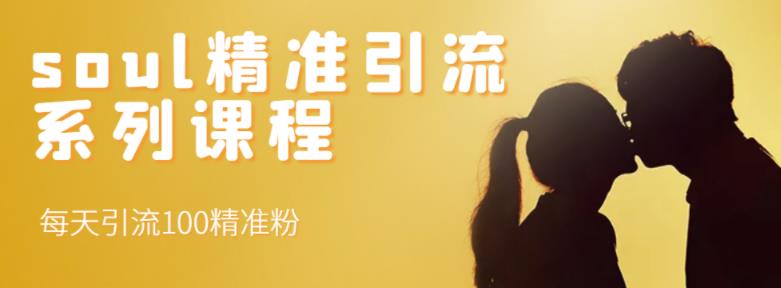 soul精准引流系列课程,每天引流100精准粉搞钱吧-网创项目资源站-副业项目-创业项目-搞钱项目搞钱吧