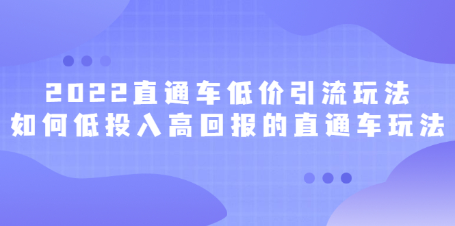 2022直通车低价引流玩法，教大家如何低投入高回报的直通车玩法搞钱吧-网创项目资源站-副业项目-创业项目-搞钱项目搞钱吧