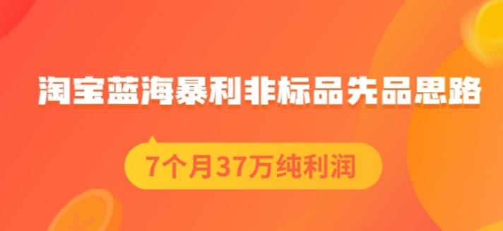 盗坤淘宝蓝海暴利非标品先品思路,7个月37万纯利润,压箱干货分享!【付费文章】搞钱吧-网创项目资源站-副业项目-创业项目-搞钱项目搞钱吧