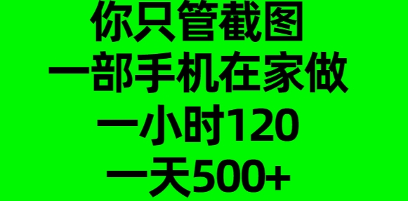 你只管截图,一部手机在家做,一小时120,一天500+搞钱吧-网创项目资源站-副业项目-创业项目-搞钱项目搞钱吧
