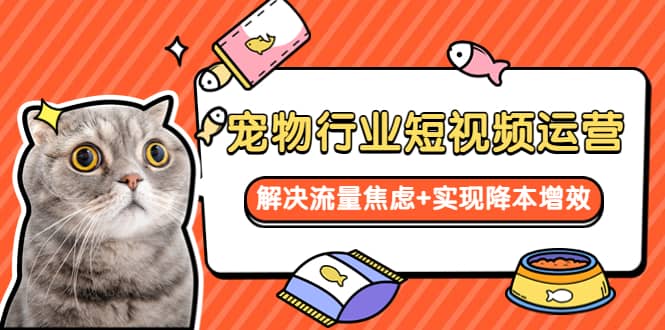 宠物/行业短视频运营 流量增长的一层窗户纸 解决流量焦虑+实现降本增效搞钱吧-网创项目资源站-副业项目-创业项目-搞钱项目搞钱吧