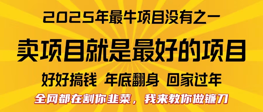 全网都在割你韭菜,我来教你做镰刀。卖项目就是最好的项目,2025年最牛互联网项目搞钱吧-网创项目资源站-副业项目-创业项目-搞钱项目搞钱吧
