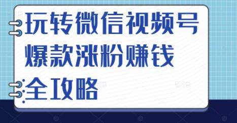 玩转微信视频号爆款涨粉赚钱全攻略，让你快速抓住流量风口，收获红利财富搞钱吧-网创项目资源站-副业项目-创业项目-搞钱项目搞钱吧