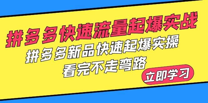 拼多多-快速流量起爆实战，拼多多新品快速起爆实操，看完不走弯路搞钱吧-网创项目资源站-副业项目-创业项目-搞钱项目搞钱吧