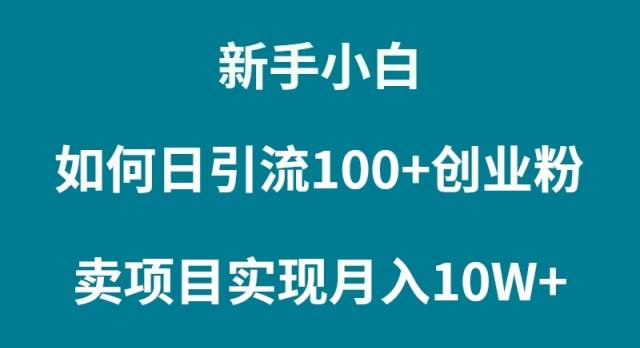 新手小白如何通过卖项目实现月入10W+搞钱吧-网创项目资源站-副业项目-创业项目-搞钱项目搞钱吧