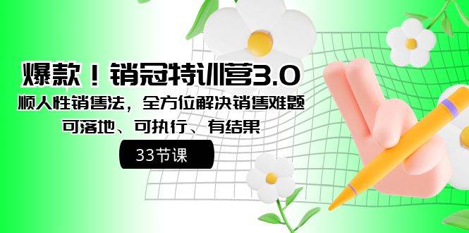 爆款！销冠特训营3.0之顺人性销售法，全方位解决销售难题、可落地、可执行、有结果搞钱吧-网创项目资源站-副业项目-创业项目-搞钱项目搞钱吧