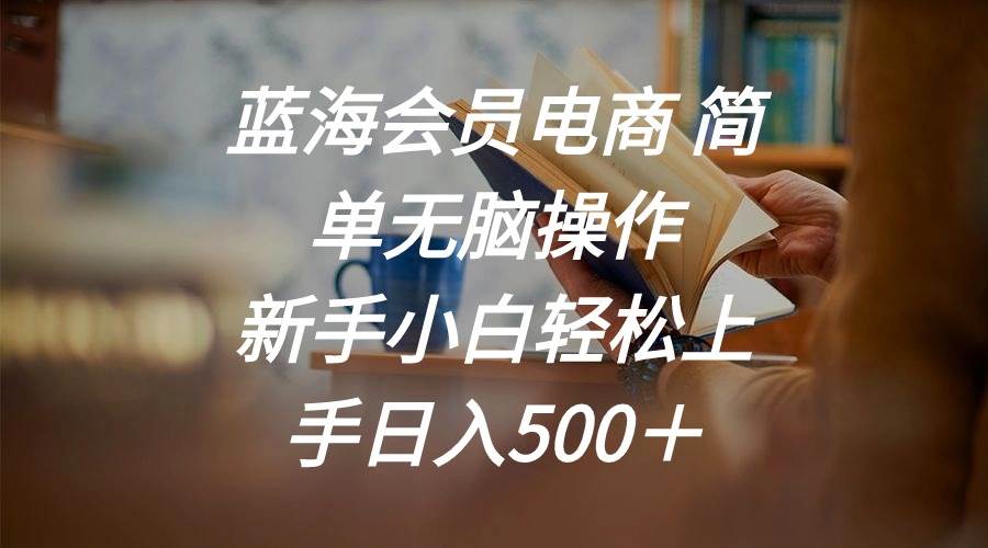 蓝海会员电商 简单无脑操作 新手小白轻松上手日入500＋搞钱吧-网创项目资源站-副业项目-创业项目-搞钱项目搞钱吧