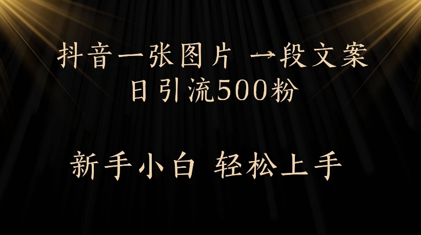 抖音一张图片，一段文案日引流500粉，新手小白 轻松上手搞钱吧-网创项目资源站-副业项目-创业项目-搞钱项目搞钱吧