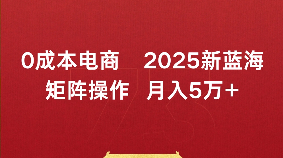 0成本电商2025新蓝海矩阵操作 月入5万+搞钱吧-网创项目资源站-副业项目-创业项目-搞钱项目搞钱吧