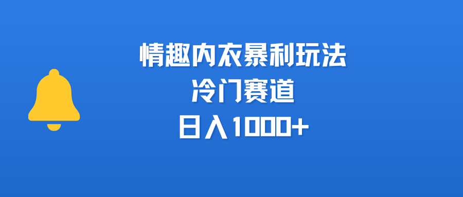 情趣内衣暴利玩法，冷门赛道，日入1000+搞钱吧-网创项目资源站-副业项目-创业项目-搞钱项目搞钱吧