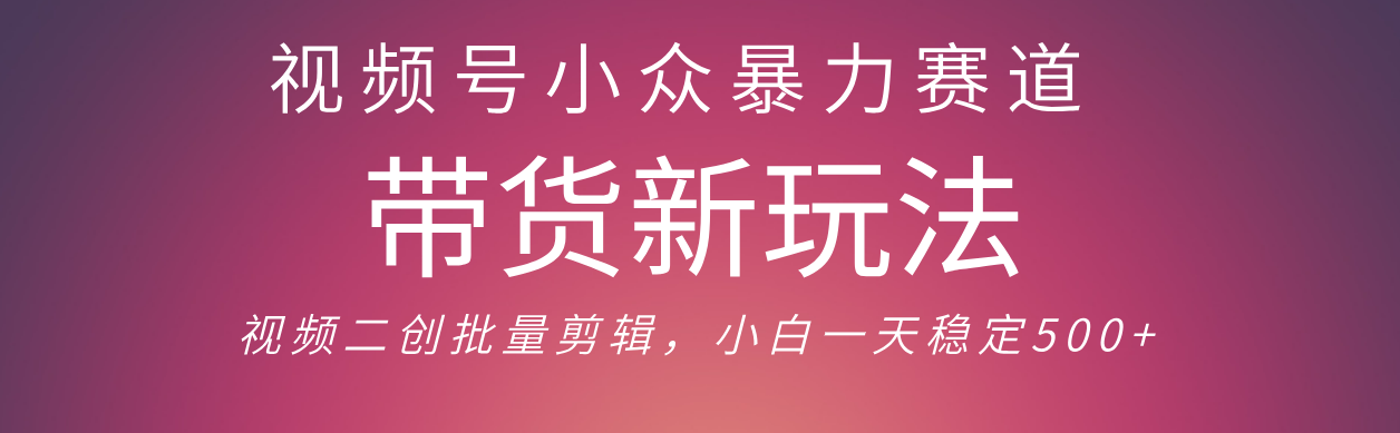 视频号小众暴力赛道，最新带货玩法 小白也能轻松日入500+ 保姆及教程搞钱吧-网创项目资源站-副业项目-创业项目-搞钱项目搞钱吧