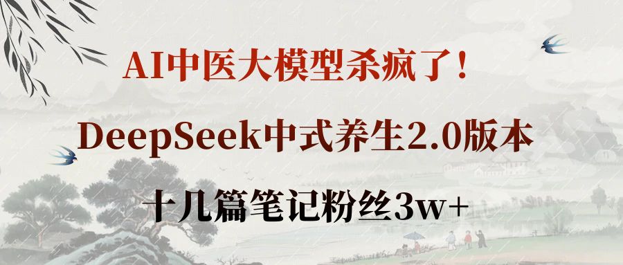 AI中医大模型杀疯了！DeepSeek中式养生2.0版本，十几篇笔记粉丝3w+搞钱吧-网创项目资源站-副业项目-创业项目-搞钱项目搞钱吧